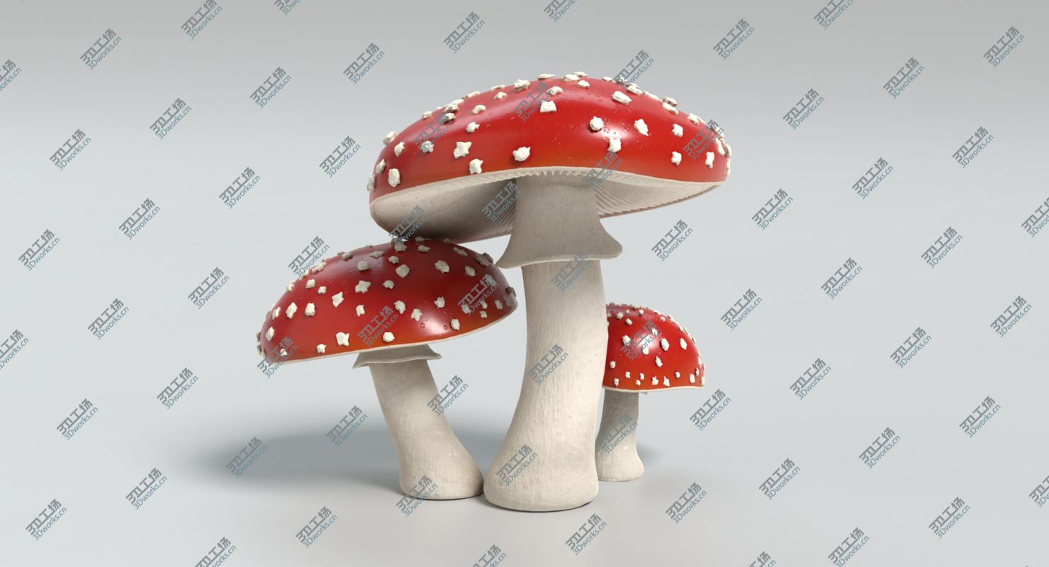 images/goods_img/202105072/Amanita Mushrooms/4.jpg